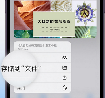 六弓乡apple维修中心分享iPhone文件应用中存储和找到下载文件