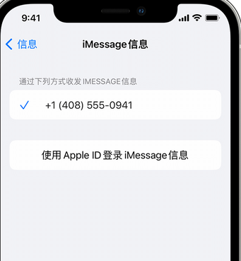 六弓乡apple维修iPhone上无法正常发送iMessage信息 