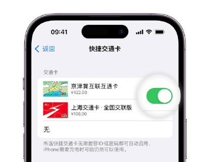 六弓乡apple维修点分享iPhone上更换Apple Pay快捷交通卡手绘卡面 