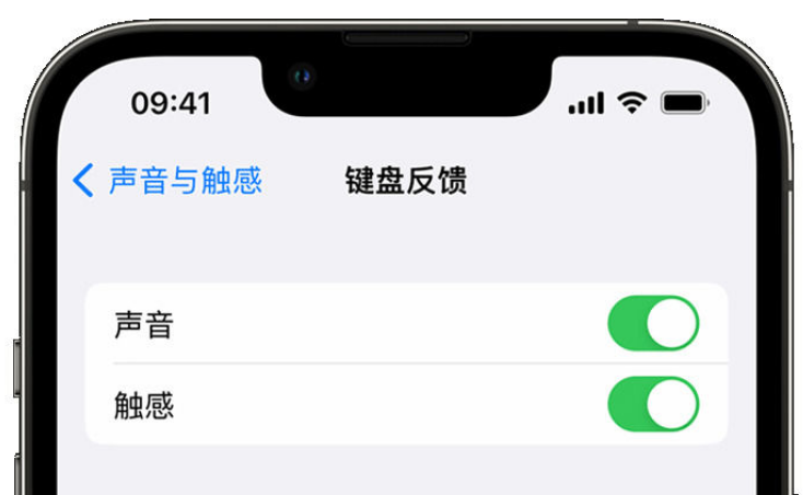 六弓乡苹果手机维修分享iPhone 14触感键盘使用方法 