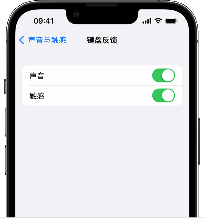 六弓乡苹果14维修店分享如何在 iPhone 14 机型中使用触感键盘 