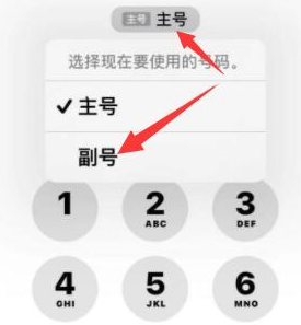 六弓乡苹果14维修店分享iPhone 14 Pro Max使用副卡打电话的方法 