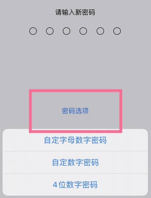 六弓乡苹果14维修分享iPhone 14plus设置密码的方法 