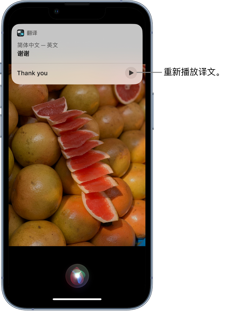 六弓乡苹果14维修分享 iPhone 14 机型中使用 Siri：了解 Siri 能帮你做什么 