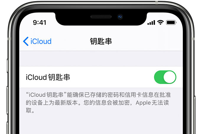 六弓乡苹果手机维修分享在 iPhone 上开启 iCloud 钥匙串之后会储存哪些信息 