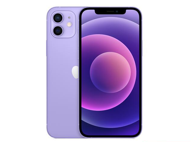 六弓乡苹果手机维修分享现阶段要不要入手紫色版iPhone12 